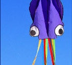 Large Octopus Kite, photo 11
