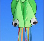 Large Octopus Kite, photo 6