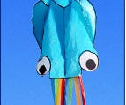 Large Octopus Kite, photo 10