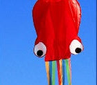 Large Octopus Kite, photo 8