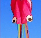 Large Octopus Kite, photo 7