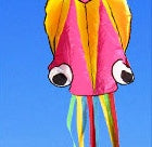 Large Octopus Kite, photo 3