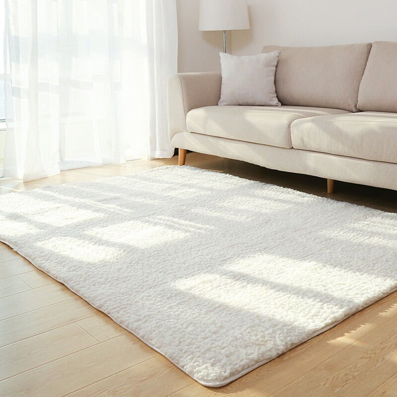 Fluffy Plush Area Rug with Non-Slip Backing, Soft Velvet Carpet for Bedroom and Living Room