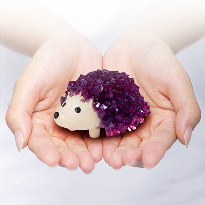 Crystal Growing Hedgehog Kit, Grow Colorful Crystals in 72 Hours, Science Experiment for Kids 8+