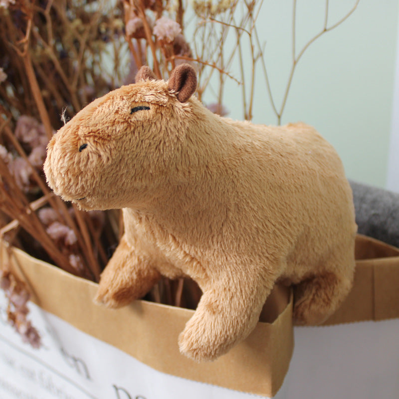 Capybara Plush Toy, photo 3