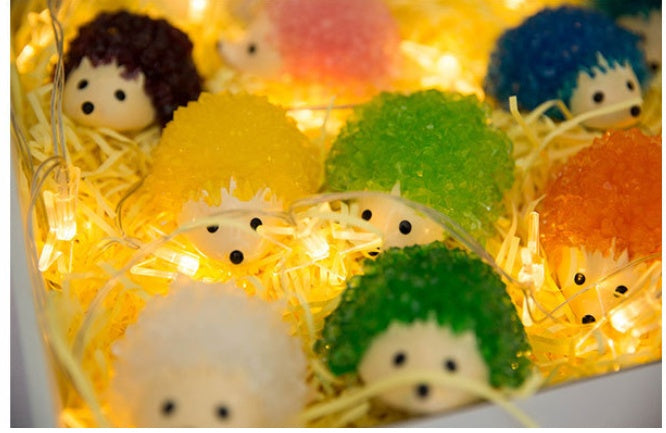 Crystal Growing Hedgehog Kit, photo 4