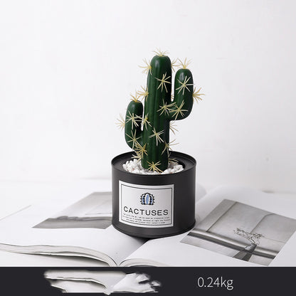 Artificial Potted Plants, Faux Cactus, Aloe and Agave in Ceramic Pots for Shelf and Desk Decor
